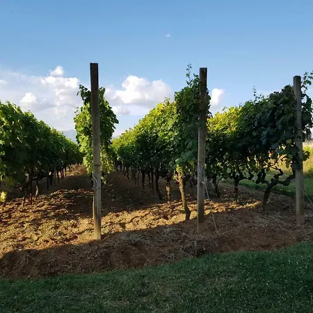 Appartamento Kuca Za Odmor Luca Posedarje